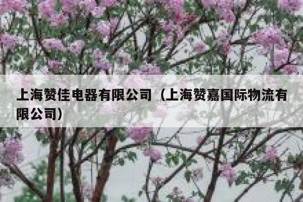 上海赞佳电器有限公司(上海赞嘉国际物流有限公司) 第1张 上海赞佳电器有限公司(上海赞嘉国际物流有限公司) 第1张