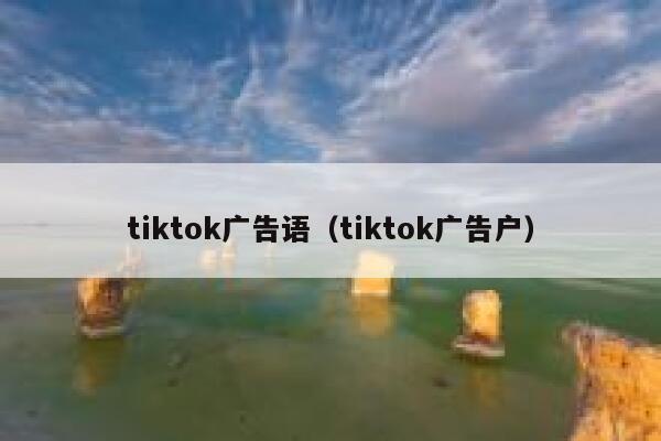 tiktok广告语（tiktok广告户） 第1张
