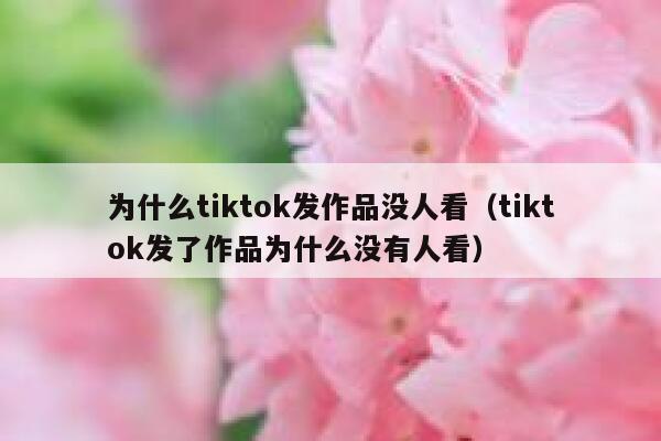 为什么tiktok发作品没人看（tiktok发了作品为什么没有人看） 第1张