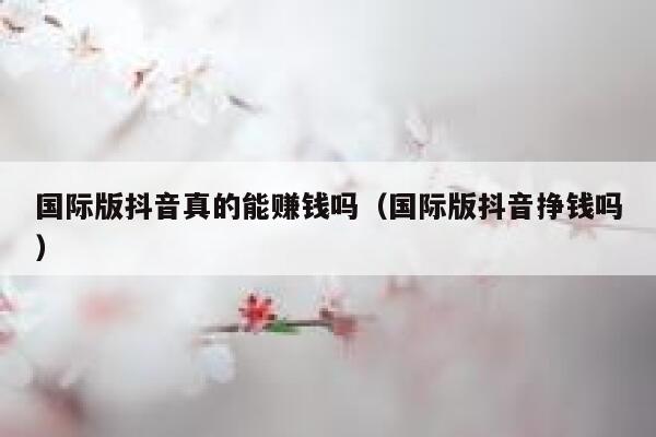 国际版抖音真的能赚钱吗(国际版抖音挣钱吗) 第1张 国际版抖音真的能赚钱吗(国际版抖音挣钱吗) 第1张