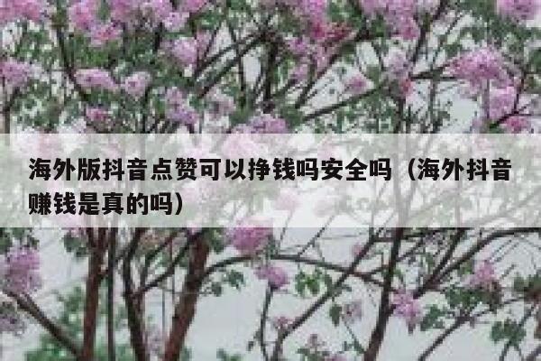 海外版抖音点赞可以挣钱吗安全吗（海外抖音赚钱是真的吗） 第1张