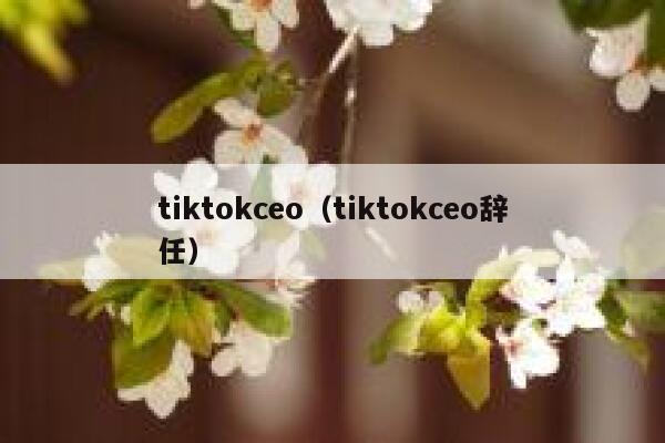tiktokceo（tiktokceo辞任） 第1张