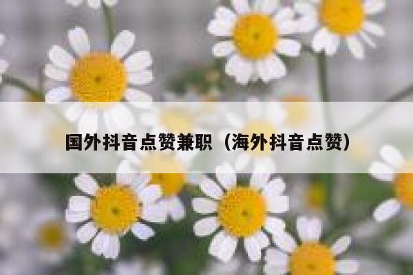国外抖音点赞兼职（海外抖音点赞） 第1张