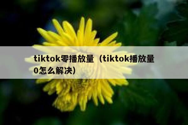 tiktok零播放量(tiktok播放量0怎么解决) 第1张 tiktok零播放量(tiktok播放量0怎么解决) 第1张