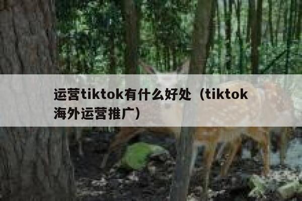 运营tiktok有什么好处(tiktok海外运营推广) 第1张 运营tiktok有什么好处(tiktok海外运营推广) 第1张