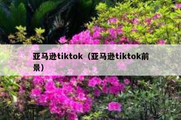 亚马逊tiktok(亚马逊tiktok前景) 第1张 亚马逊tiktok(亚马逊tiktok前景) 第1张