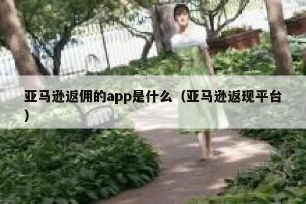亚马逊返佣的app是什么（亚马逊返现平台） 第1张