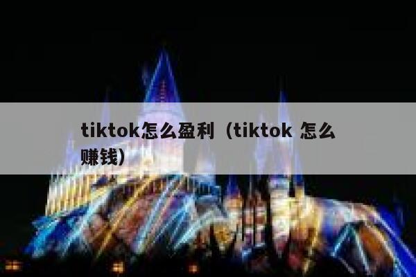 tiktok怎么盈利（tiktok 怎么赚钱） 第1张