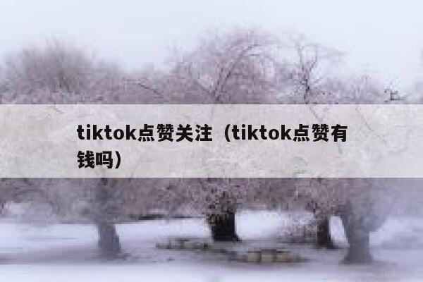 tiktok点赞关注（tiktok点赞有钱吗） 第1张