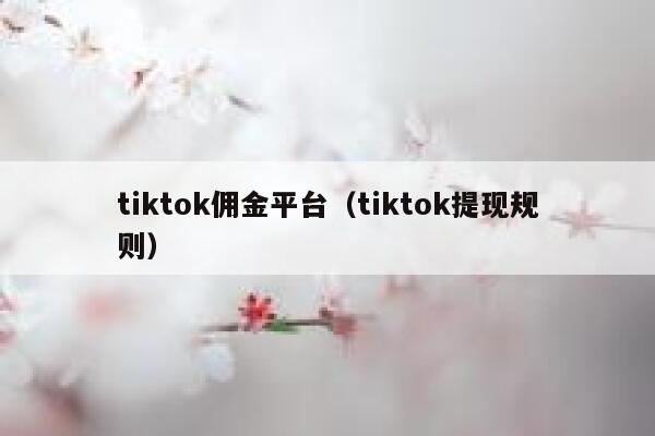 tiktok佣金平台（tiktok提现规则） 第1张