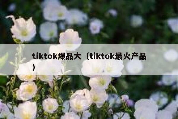 tiktok爆品大（tiktok最火产品） 第1张