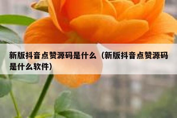 新版抖音点赞源码是什么（新版抖音点赞源码是什么软件） 第1张