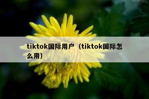 tiktok国际用户（tiktok国际怎么用） 第1张