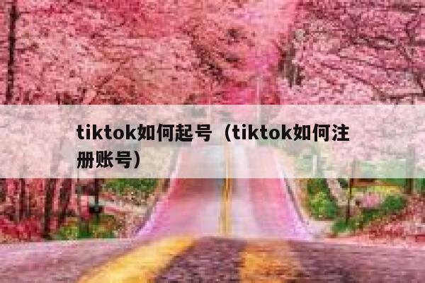 tiktok如何起号（tiktok如何注册账号） 第1张