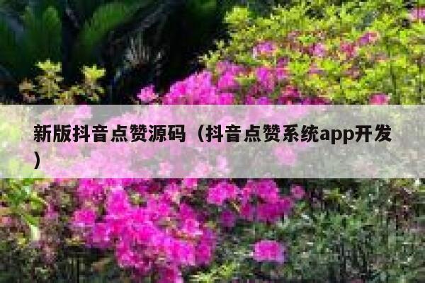 新版抖音点赞源码（抖音点赞系统app开发） 第1张