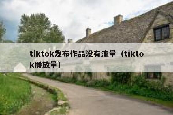 tiktok发布作品没有流量（tiktok播放量） 第1张