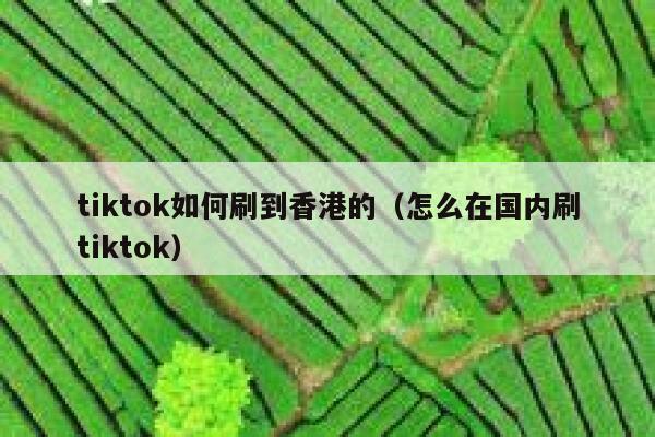 tiktok如何刷到香港的（怎么在国内刷tiktok） 第1张