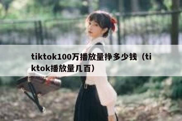 tiktok100万播放量挣多少钱（tiktok播放量几百） 第1张