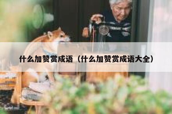什么加赞赏成语（什么加赞赏成语大全） 第1张