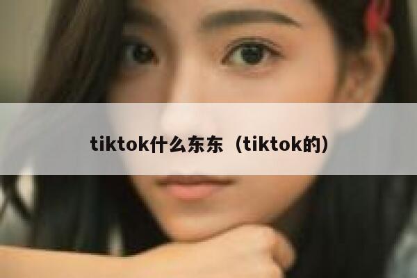 tiktok什么东东（tiktok的） 第1张