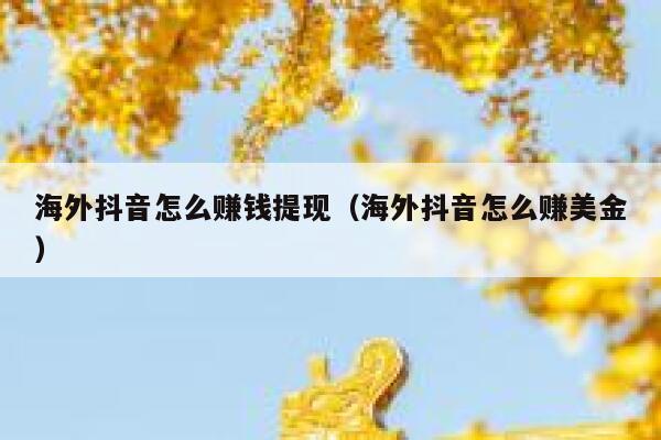 海外抖音怎么赚钱提现（海外抖音怎么赚美金） 第1张