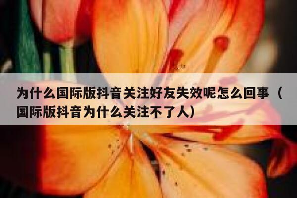 为什么国际版抖音关注好友失效呢怎么回事（国际版抖音为什么关注不了人） 第1张