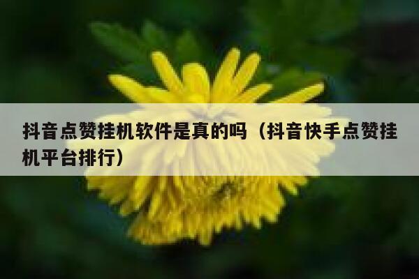抖音点赞挂机软件是真的吗(抖音快手点赞挂机平台排行) 第1张 抖音点赞挂机软件是真的吗(抖音快手点赞挂机平台排行) 第1张
