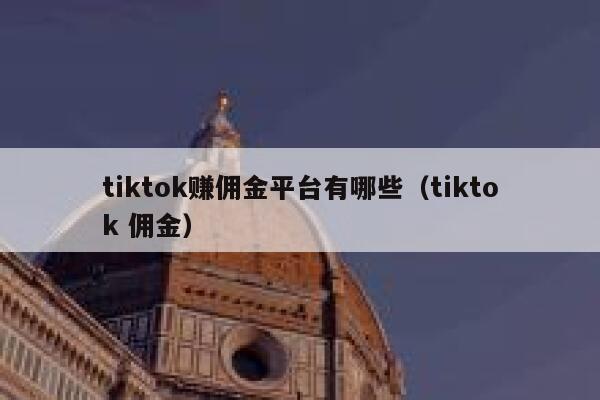 tiktok赚佣金平台有哪些（tiktok 佣金） 第1张