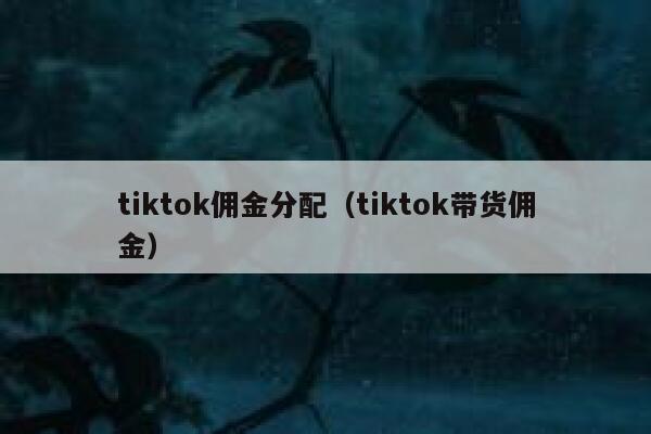 tiktok佣金分配（tiktok带货佣金） 第1张