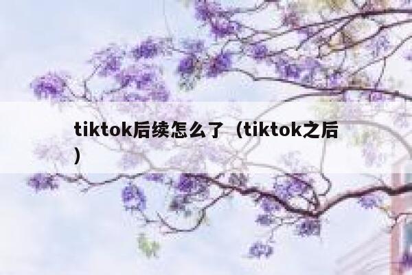 tiktok后续怎么了（tiktok之后） 第1张