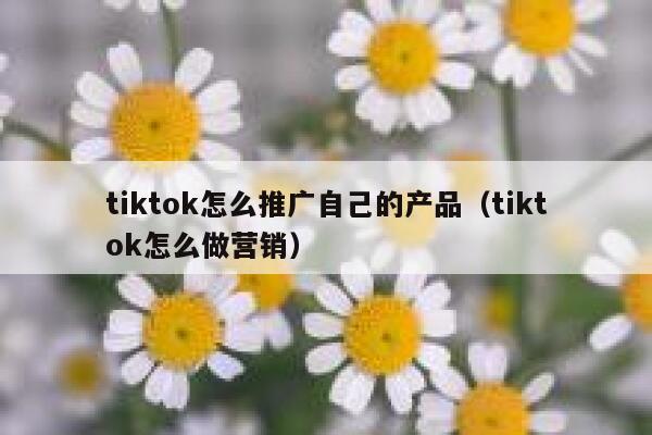 tiktok怎么推广自己的产品(tiktok怎么做营销) 第1张 tiktok怎么推广自己的产品(tiktok怎么做营销) 第1张
