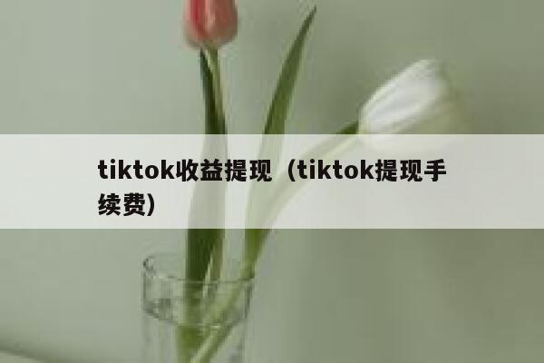 tiktok收益提现（tiktok提现手续费） 第1张