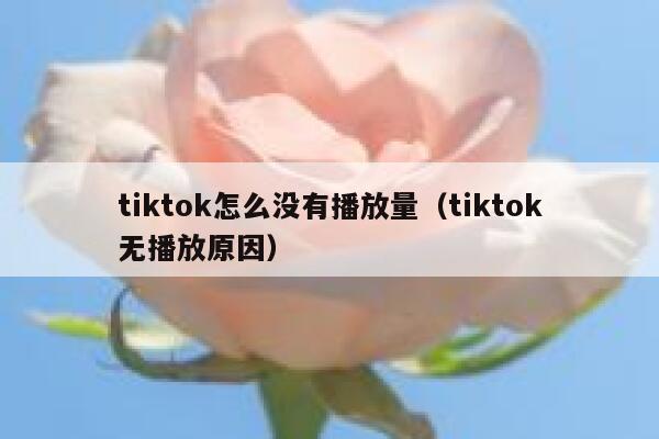 tiktok怎么没有播放量（tiktok无播放原因） 第1张