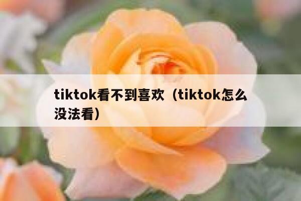 tiktok看不到喜欢（tiktok怎么没法看） 第1张