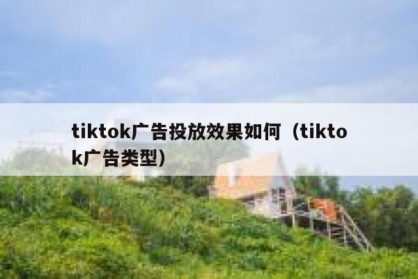 tiktok广告投放效果如何（tiktok广告类型） 第1张