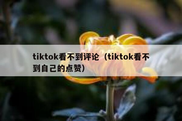 tiktok看不到评论（tiktok看不到自己的点赞） 第1张