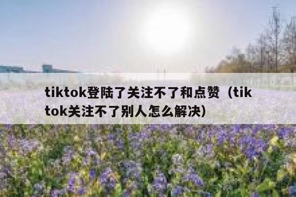 tiktok登陆了关注不了和点赞（tiktok关注不了别人怎么解决） 第1张