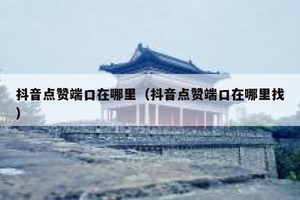 抖音点赞端口在哪里（抖音点赞端口在哪里找） 第1张
