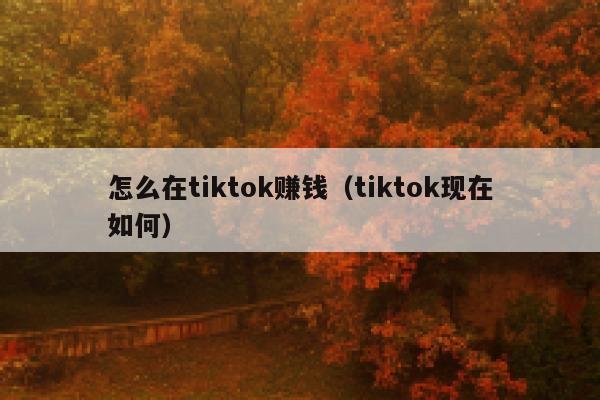 怎么在tiktok赚钱（tiktok现在如何） 第1张