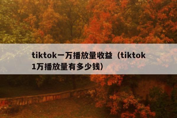 tiktok一万播放量收益（tiktok1万播放量有多少钱） 第1张