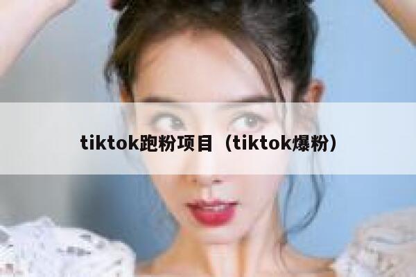 tiktok跑粉项目（tiktok爆粉） 第1张
