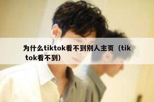 为什么tiktok看不到别人主页(tik tok看不到) 第1张 为什么tiktok看不到别人主页(tik tok看不到) 第1张