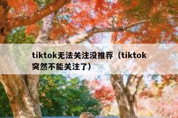 tiktok无法关注没推荐（tiktok突然不能关注了） 第1张