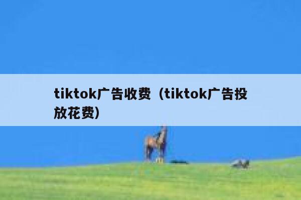tiktok广告收费(tiktok广告投放花费) 第1张 tiktok广告收费(tiktok广告投放花费) 第1张