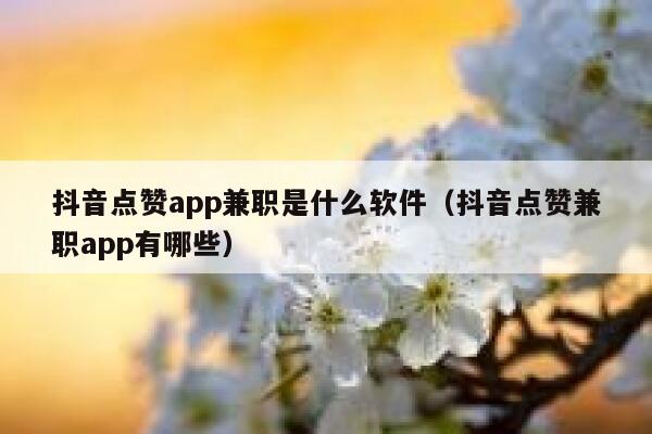抖音点赞app兼职是什么软件（抖音点赞兼职app有哪些） 第1张
