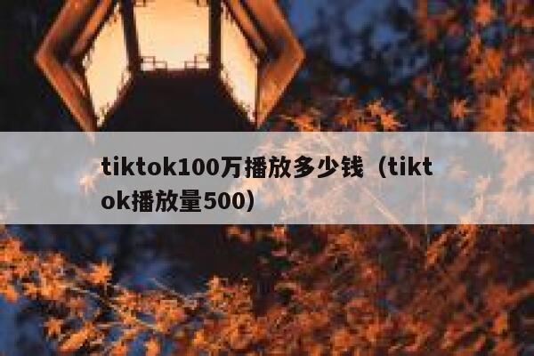 tiktok100万播放多少钱（tiktok播放量500） 第1张