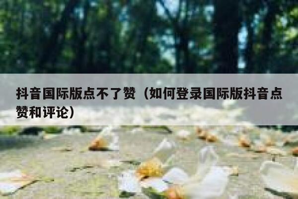 抖音国际版点不了赞（如何登录国际版抖音点赞和评论） 第1张