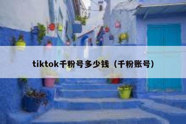 tiktok千粉号多少钱（千粉账号） 第1张