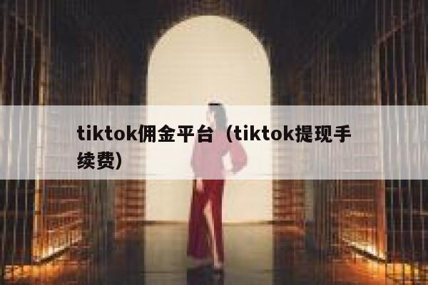 tiktok佣金平台（tiktok提现手续费） 第1张
