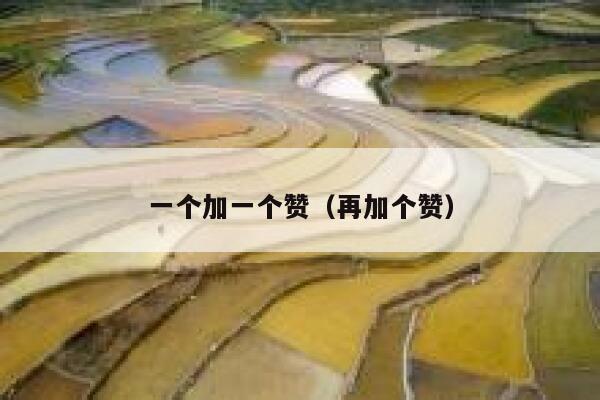 一个加一个赞（再加个赞） 第1张